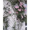 White plastic extensible trellis - 50x150cm