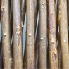 Traliccio estensibile - NATURE - Vimini naturale FSC - 90 x 180 cm