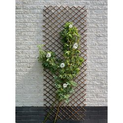 Traliccio estensibile - NATURE - Vimini naturale FSC - 90 x 180 cm