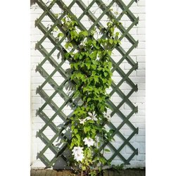 Treillis extensible en bois NATURE - 50 x 150 cm - FSC label - lattes 