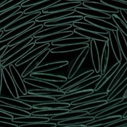 Tenda a pacchetto in PVC bifacciale - NATURE - 1 x 3 m - 1600 g/m² - O