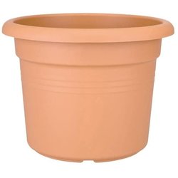 VIBE POTTO FOWER ROULD - Plastica - Ø30 - POLLA POLVERE
