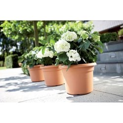 VIBE POTTO FOWER ROULD - Plastica - Ø30 - POLLA POLVERE