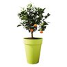 Fiori in vaso LU superiore Ø 35 cm