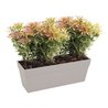 Bac Blumen balc LU 50 cm