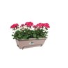 Balconiere Elho Barcelona Allin1 50 - Bruin - L 50 x B 28 x H 19 cm - 