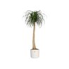 ELHO Pot de fleurs rond B.for Soft 35 - Ø 35 x H 32 cm - Intérieur - 1