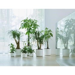 ELHO Pot de fleurs rond B.for Soft 35 - Ø 35 x H 32 cm - Intérieur - 1