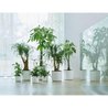 ELHO Pot de fleurs rond B.for Soft 35 - Ø 35 x H 32 cm - Intérieur - 1