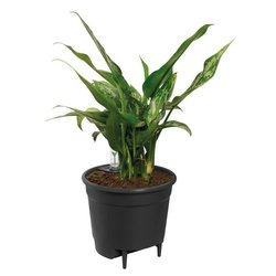 Elho Vaso da fiori con inserto autoirrigante 33 - Nero - Ø 33 x H 31 c