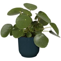 Vibes Round Flower Pot - Plastic - Ø22 - donkerblauw