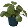 Vibes Round Flower Pot - Plastic - Ø22 - donkerblauw
