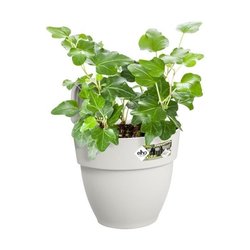 ELHO - Maceta - Vibia Campana Easy Hanger Pequeño - Blanco Seda - Balc