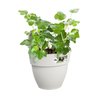 ELHO - Maceta - Vibia Campana Easy Hanger Pequeño - Blanco Seda - Balc