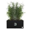 Elho Vivo Next Long 60 Bloembak - Zwart - L 59 x B 30 x H 29 cm - binn