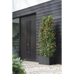 Elho Vivo Next Long 60 Bloembak - Zwart - L 59 x B 30 x H 29 cm - binn