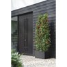 Elho Vivo Next Long 60 Bloembak - Zwart - L 59 x B 30 x H 29 cm - binn