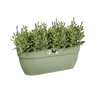 ELHO - Maceta - Vibia Campana Easy Hanger Grande - Verde pistacho - Ba