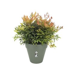 Vibia Rectangle Planter - Plastica - Tank - Ø50 - Miele giallo