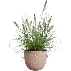 Vaso per fiori - ELHO - Sereh Round 40 - Marrone - Ø 39 x H 33 cm - 10