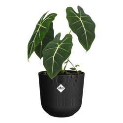 Bloempot - Elho - Jazz Rond - Zwart - Ø 26 x H 24 cm - Binnen - 100% g