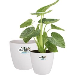 ELHO Lot de 2 pots de fleurs rond a roulettes Brussels - Ø35 x H33 cm 