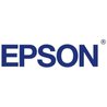 Strawberry Patrone Epson T2991 N