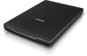 Flat scanner - Epson - V39II perfection - A4