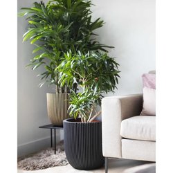 Capi Jardiniere Nature Rib 43x41 cm nero KBLR933 424234