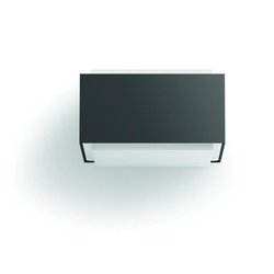 Applique da esterno PHILIPS Hedgehog - Antracite - 1x42W