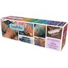 Loopdedooo - Fabrique de bracelets d amitié - GOLIATH - Des 8 ans