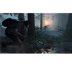 Der letzte von uns Teil II PS4-Spiel