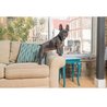 Collier anti aboiement pour Chien - PetSafe - Stimulation Eléctrostati