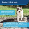 Collier anti aboiement pour Chien - PetSafe - Stimulation Eléctrostati