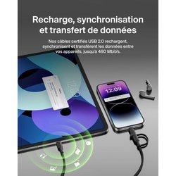 BEL1742450445586