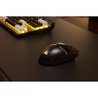 Gaming-Maus  Kabellos  CORSAIR  DARKSTAR RGB Wireless  15 programm