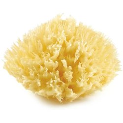 THERMOBABY Eponge de mer honeycomb n ° 10