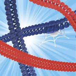 Flextreme-Nachfüllung  Sipidey  72 Spuren  2 Befestigungssaugnäpfe