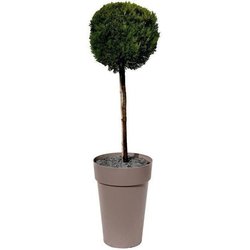 EDA Vase Toskana heute - Ø 46 x H 65 cm - 67 L - Taupe