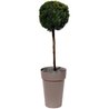 EDA Pot/Tuscan Vase High - Ø 46 x H 65 cm - 67 L - Taupe