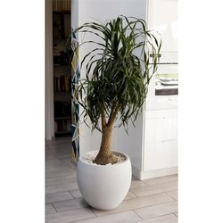 EDA Graphit maceta redonda Ø50cm - Capacidad 46L - Blanco encalado