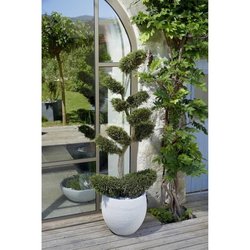 EDA Graphit maceta redonda Ø50cm - Capacidad 46L - Blanco encalado