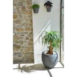 EDA Round Pot Graphit Ø50cm - Capacity 46L - Anthracite Gray