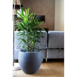 EDA Round Pot Graphit Ø50cm - Capacity 46L - Anthracite Gray