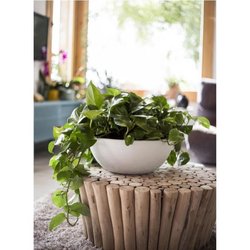EDA PLASTIQUE - Vaso lavabo Graphit Up Ø 40 - 14,9L - Bianco lime