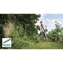 Hedge AFS 23-37
