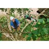 BOSCH wireless pole Elagueuse - Universalchainpole 18 (delivered witho