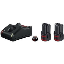 Basic Set 2 GBA 12V 2.0Ah + GAL 12V -40 Batterijen in kartonnen doos -