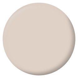 Peinture Intérieure - Café au Lait - 2,5L - Velours - Haute Opacité - 