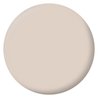 Peinture Intérieure - Café au Lait - 2,5L - Velours - Haute Opacité - 